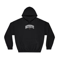 Nativ3D Hoodie - gray