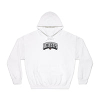 Nativ3D Hoodie - gray