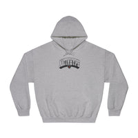 Nativ3D Hoodie - gray