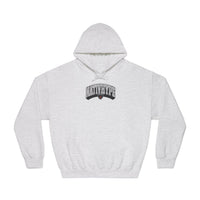 Nativ3D Hoodie - gray